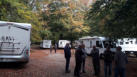 Sortie champignon