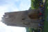 Tarascon