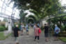 Jardin dfil de chars