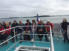 Croisire Golf de Morbillan
