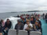 Croisire Golf de Morbillan