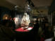 Muse Compagnie des Indes